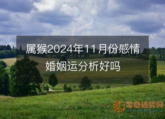 属猴2025年11月份感情婚姻运分析好吗