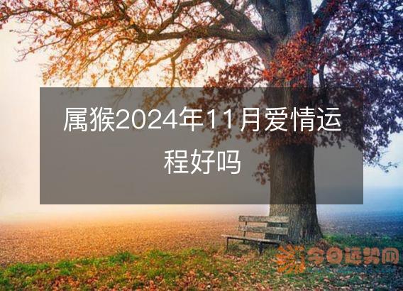 属猴2025年11月爱情运程好吗