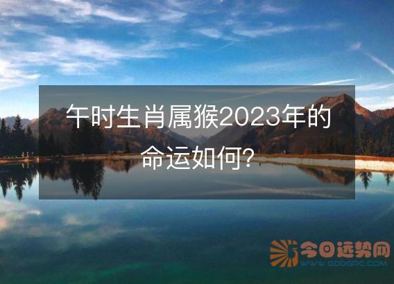 午时生肖属猴2025年的命运如何?