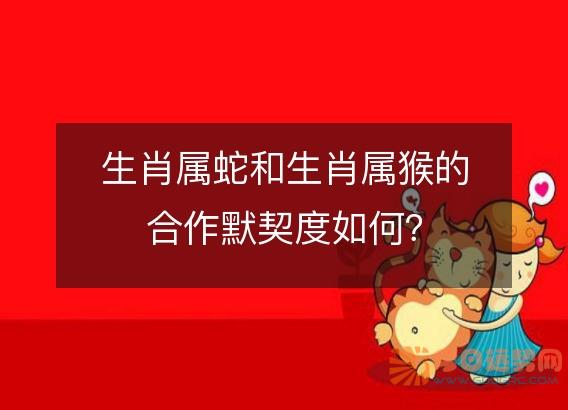 生肖属蛇和生肖属猴的合作默契度如何?