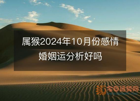 属猴2025年10月份感情婚姻运分析好吗