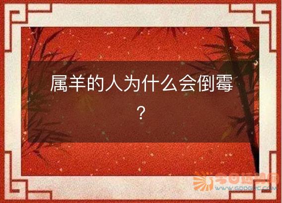 属羊的人为什么会倒霉?