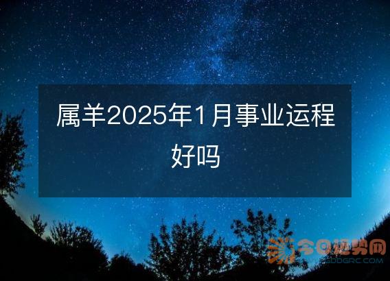 属羊2025年1月事业运程好吗