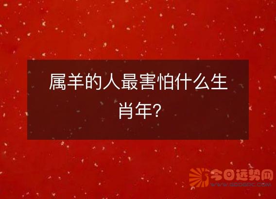 属羊的人最害怕什么生肖年?