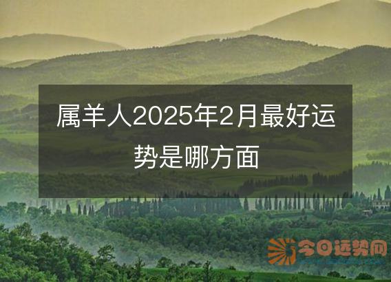属羊人2025年2月最好运势是哪方面