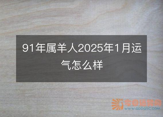 91年属羊人2025年1月运气怎么样