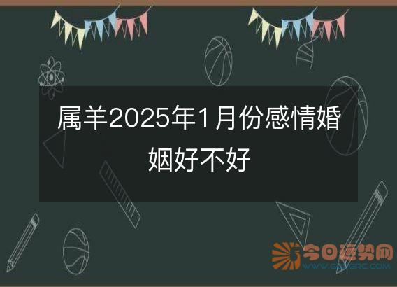 属羊2025年1月份感情婚姻好不好