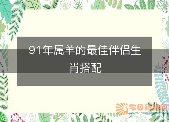 91年属羊的最佳伴侣生肖搭配