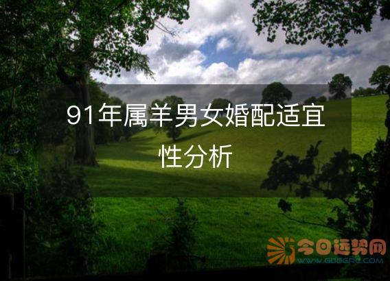 91年属羊男女婚配适宜性分析