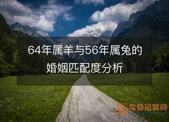 64年属羊与56年属兔的婚姻匹配度分析