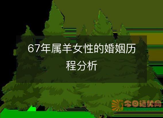67年属羊女性的婚姻历程分析