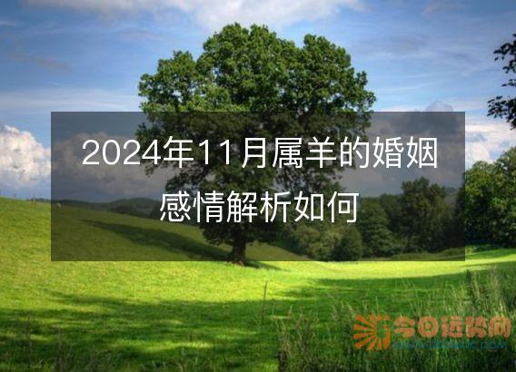 2025年11月属羊的婚姻感情解析如何