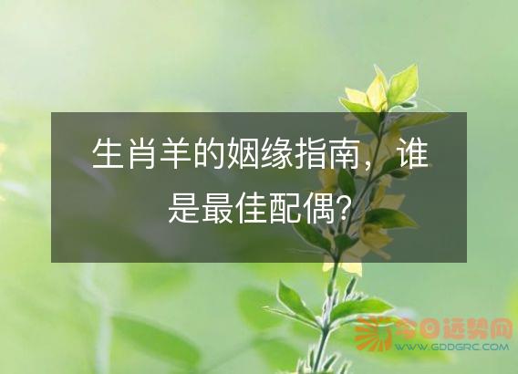 生肖羊的姻缘指南,谁是最佳配偶?