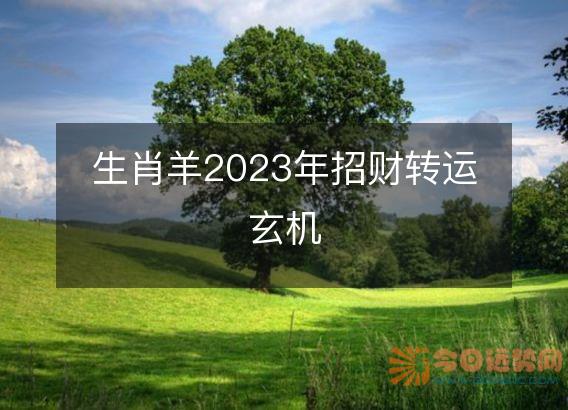 生肖羊2025年招财转运玄机