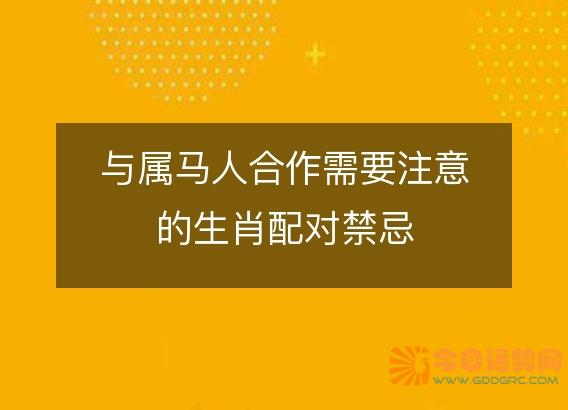 与属马人合作需要注意的生肖配对禁忌