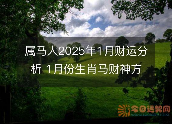属马人2025年1月财运分析 1月份生肖马财神方位