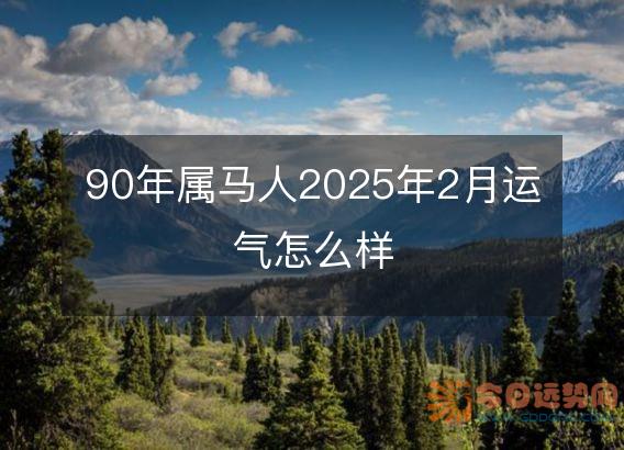 90年属马人2025年2月运气怎么样