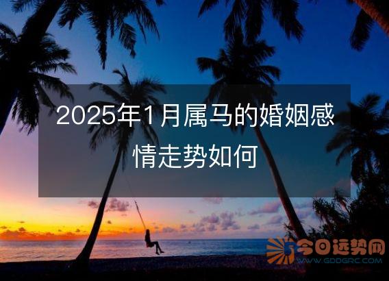 2025年1月属马的婚姻感情走势如何