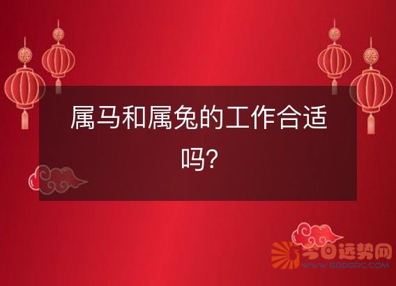 属马和属兔的工作合适吗?
