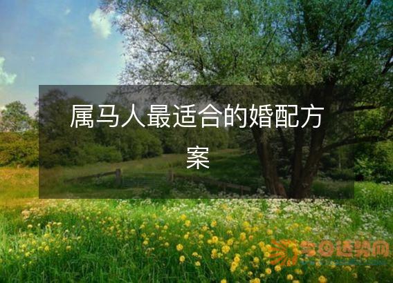 属马人最适合的婚配方案