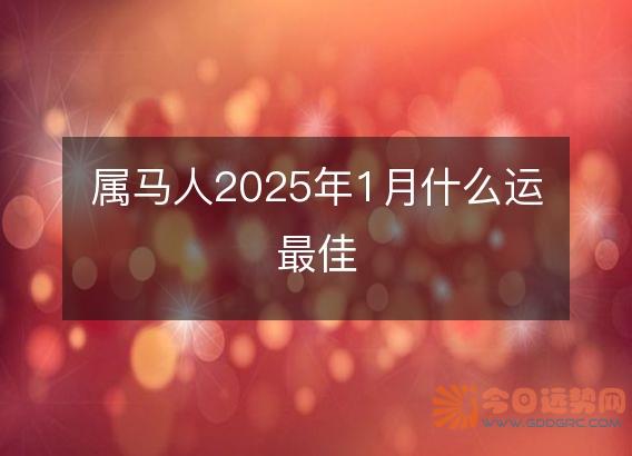 属马人2025年1月什么运最佳