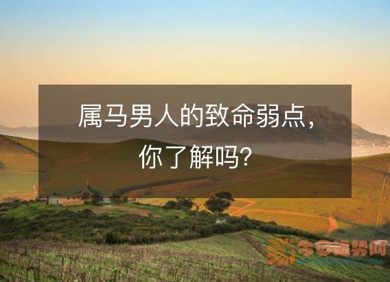 属马男人的致命弱点,你了解吗?