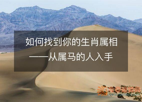 如何找到你的生肖属相——从属马的人入手