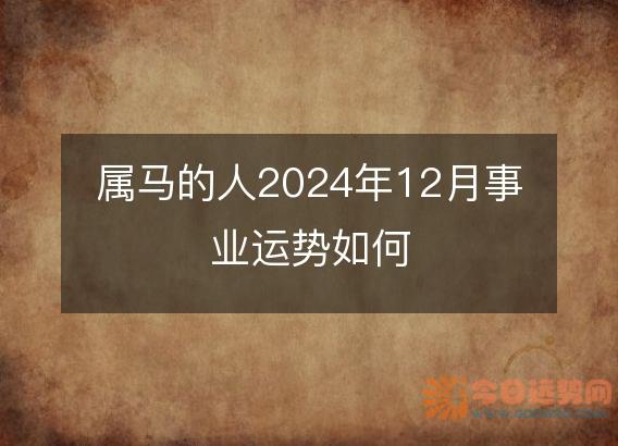 属马的人2025年12月事业运势如何