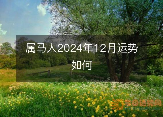 属马人2025年12月运势如何