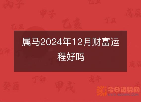 属马2025年12月财富运程好吗