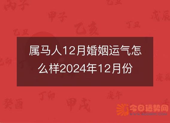 属马人12月婚姻运气怎么样2025年12月份