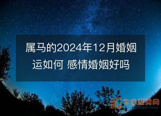 属马的2025年12月婚姻运如何 感情婚姻好吗