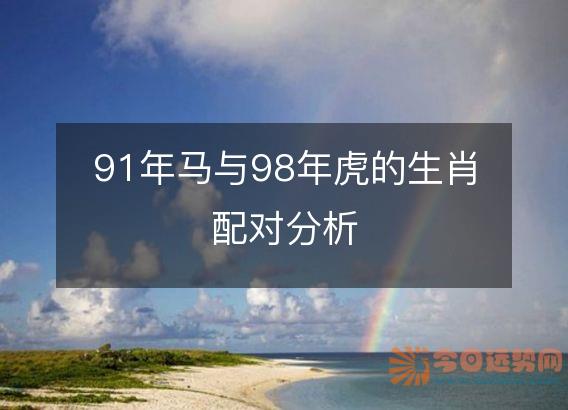 91年马与98年虎的生肖配对分析