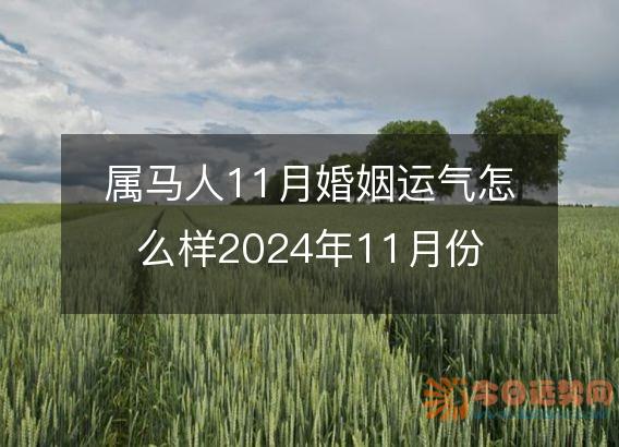 属马人11月婚姻运气怎么样2025年11月份