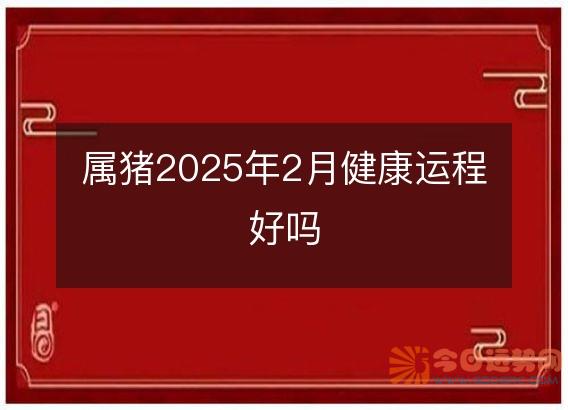 属猪2025年2月健康运程好吗