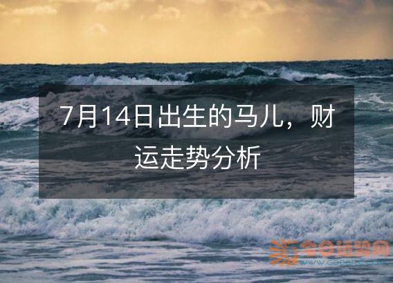7月14日出生的马儿,财运走势分析