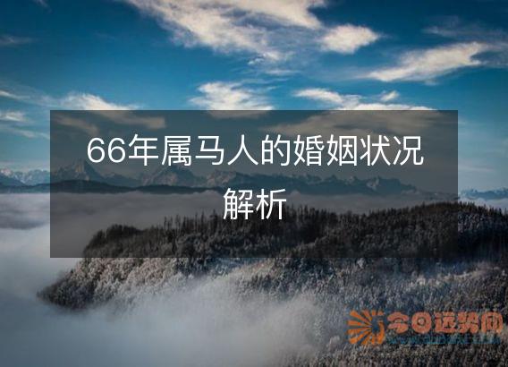 66年属马人的婚姻状况解析