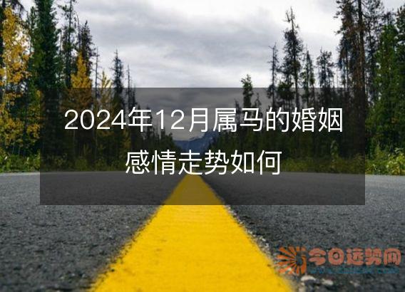 2025年12月属马的婚姻感情走势如何