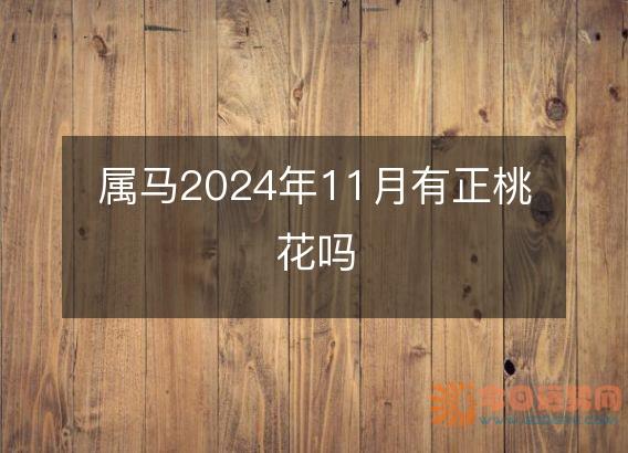 属马2025年11月有正桃花吗