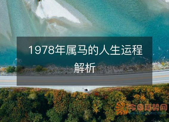 1978年属马的人生运程解析