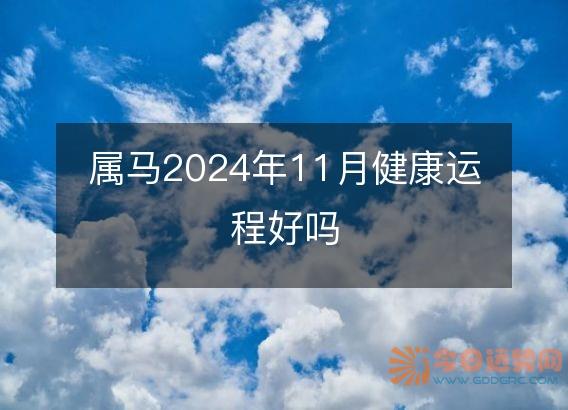 属马2025年11月健康运程好吗
