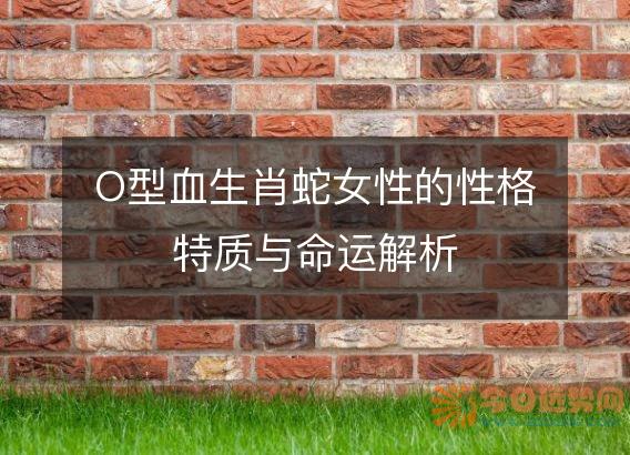O型血生肖蛇女性的性格特质与命运解析