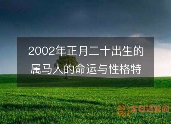 2002年正月二十出生的属马人的命运与性格特点分析