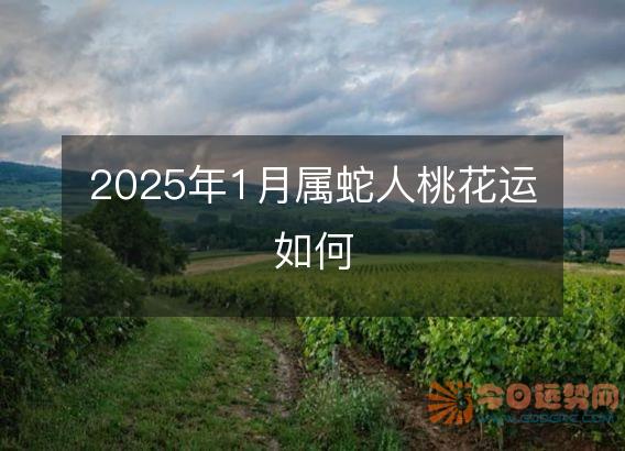 2025年1月属蛇人桃花运如何