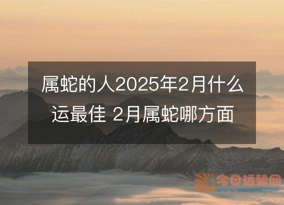 属蛇的人2025年2月什么运最佳 2月属蛇哪方面运势最好