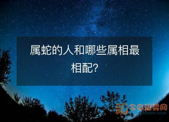 属蛇的人和哪些属相最相配?