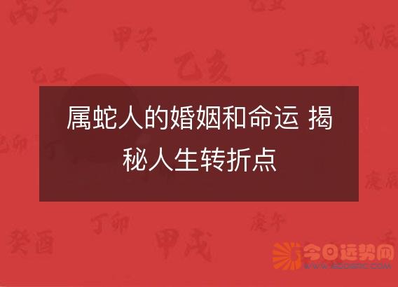 属蛇人的婚姻和命运 揭秘人生转折点