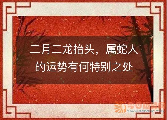 二月二龙抬头,属蛇人的运势有何特别之处