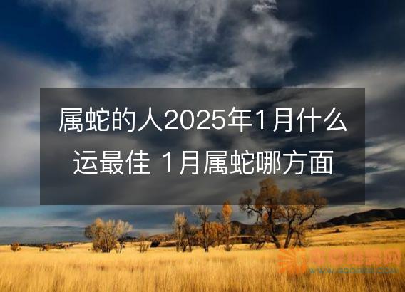 属蛇的人2025年1月什么运最佳 1月属蛇哪方面运势最好