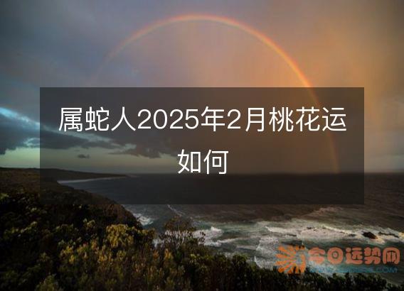 属蛇人2025年2月桃花运如何